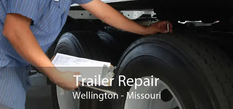 Trailer Repair Wellington - Missouri