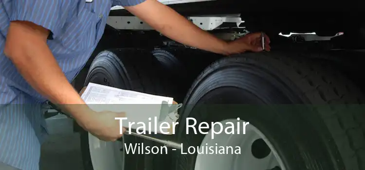 Trailer Repair Wilson - Louisiana