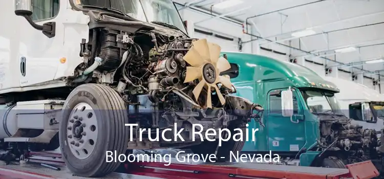 Truck Repair Blooming Grove - Nevada