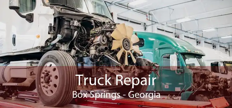 Truck Repair Box Springs - Georgia