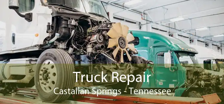 Truck Repair Castalian Springs - Tennessee