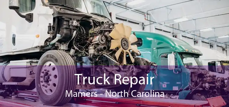Truck Repair Mamers - North Carolina